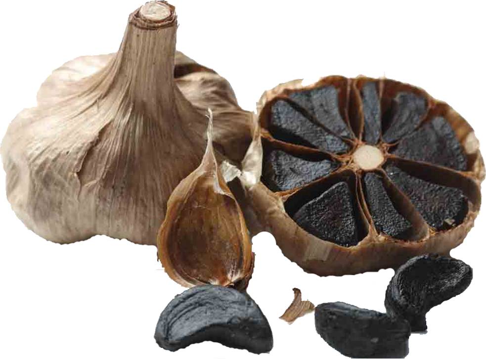 L'ail noir - Ailfume